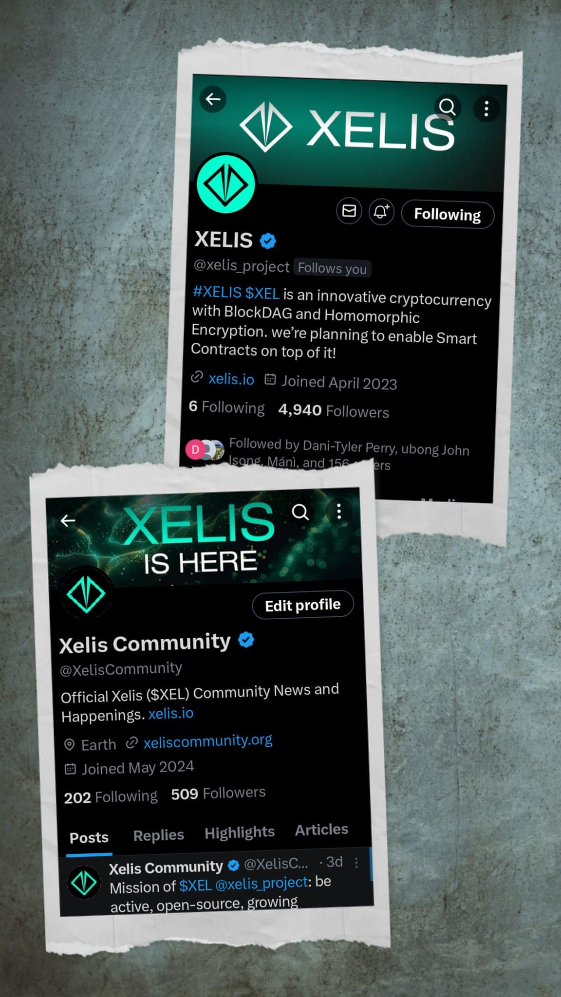 Xelis ecosystem visual