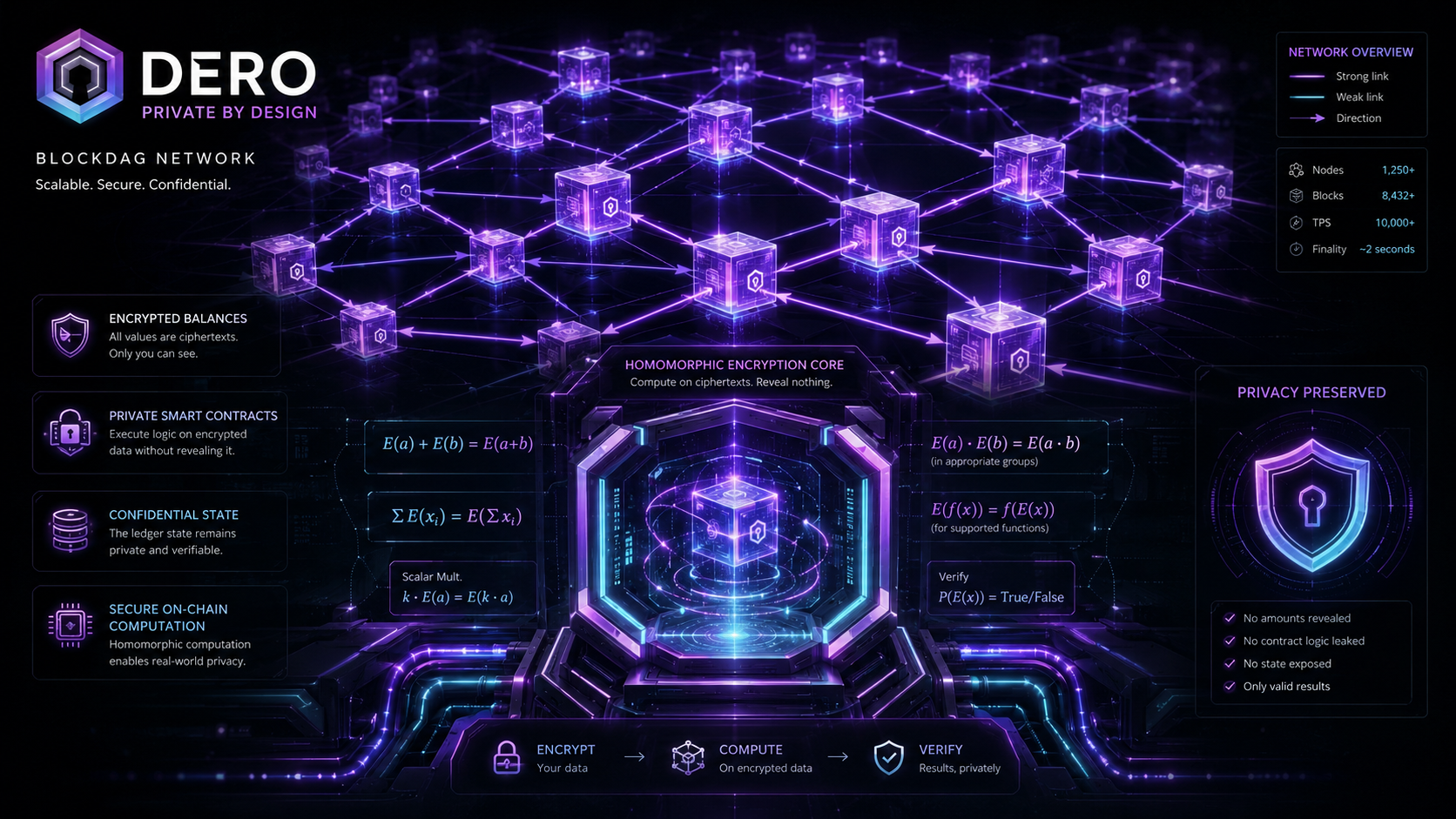 DERO network directed acyclic graph BlockDAG structure homomorphic encryption math symbols glowing purple nodes technical