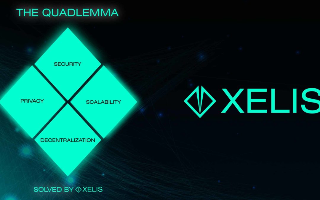 Xelis Unveils, Exclusive Interview